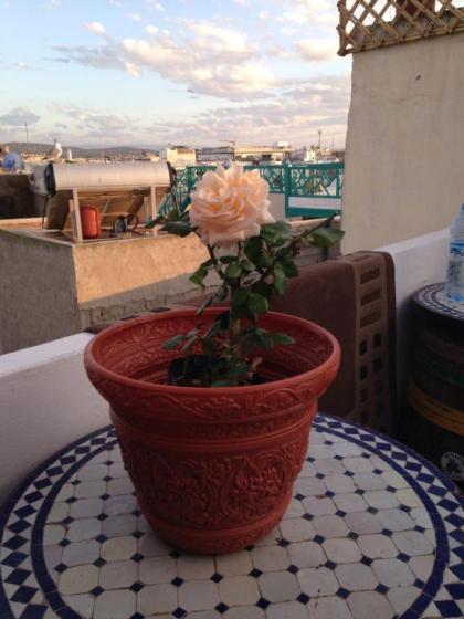 Essaouira Youth Hostel & Social Travel - image 5