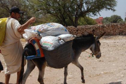 DAR ALJANA - image 3