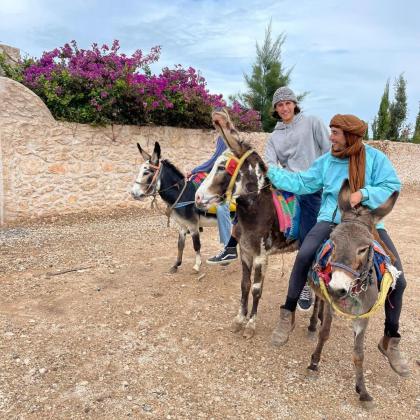 Ranch de Sidi kaouki - image 29