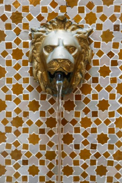 Riad Alech - image 29
