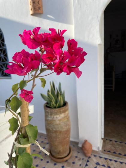 RIAD AMANA - image 21