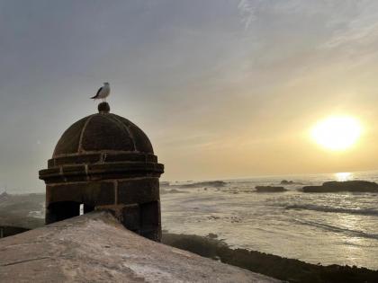 RIAD AMANA - image 28